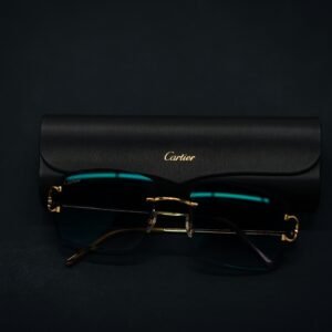 Mens Black Premium Sunglass